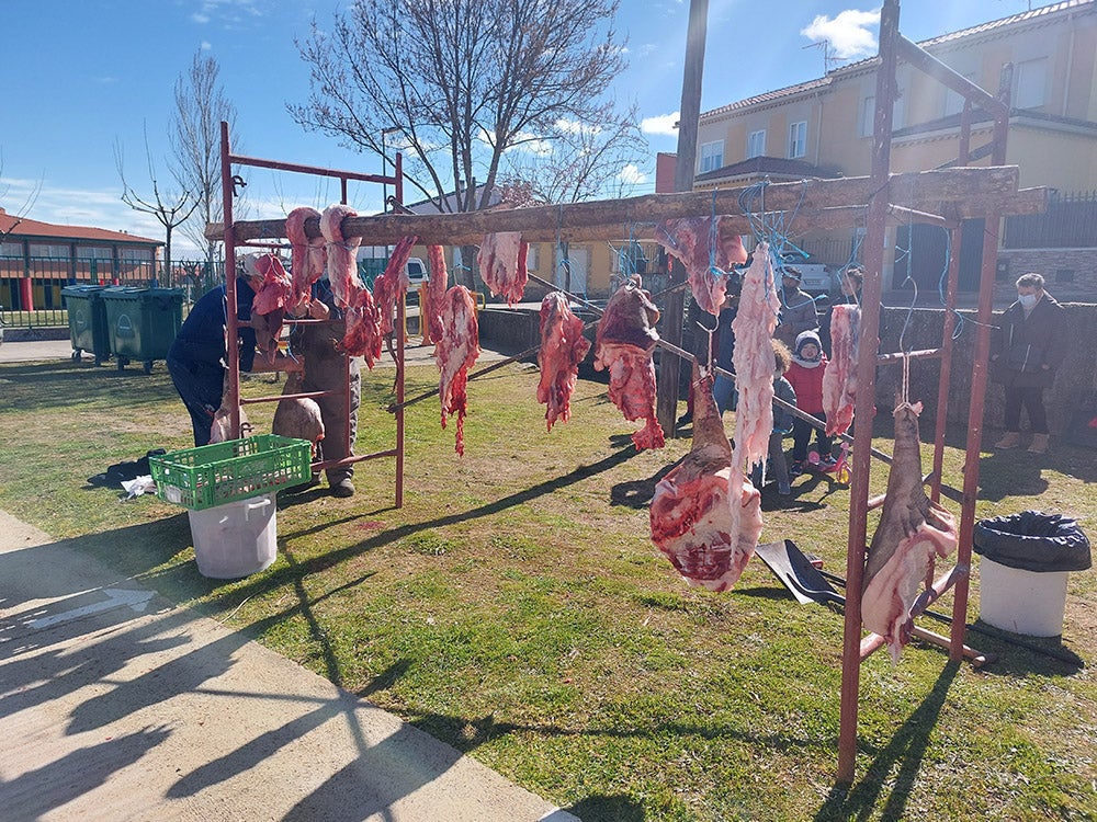 Los vecinos de Tamames disfrutan de su tradicional matanza