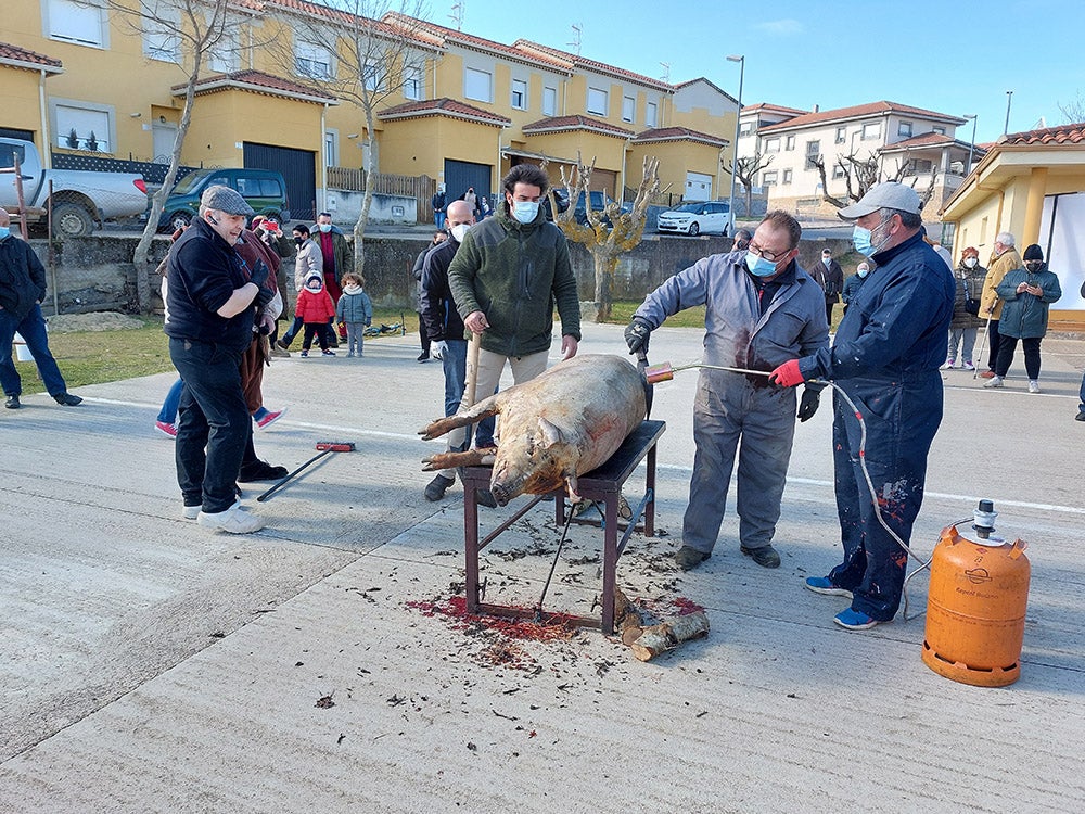 Los vecinos de Tamames disfrutan de su tradicional matanza