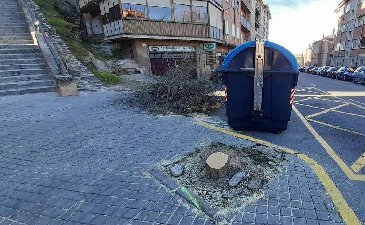 Lugar de Soldado Español donde ha tenido lugar el accidente este domingo, en el que se ha talado un árbol contra el que chocó el conductor. 