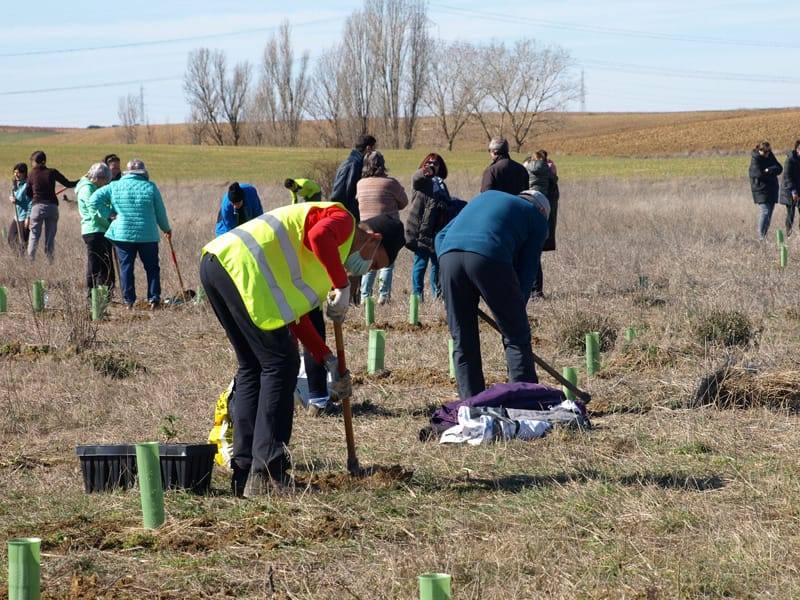 Fotos: Vecinos de Villacid participan en la reforestación del entorno de la ermita de Bustillino