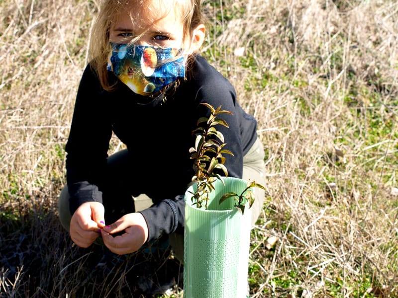 Fotos: Vecinos de Villacid participan en la reforestación del entorno de la ermita de Bustillino