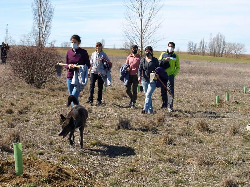 Fotos: Vecinos de Villacid participan en la reforestación del entorno de la ermita de Bustillino