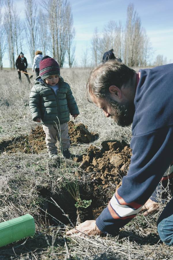 Fotos: Vecinos de Villacid participan en la reforestación del entorno de la ermita de Bustillino