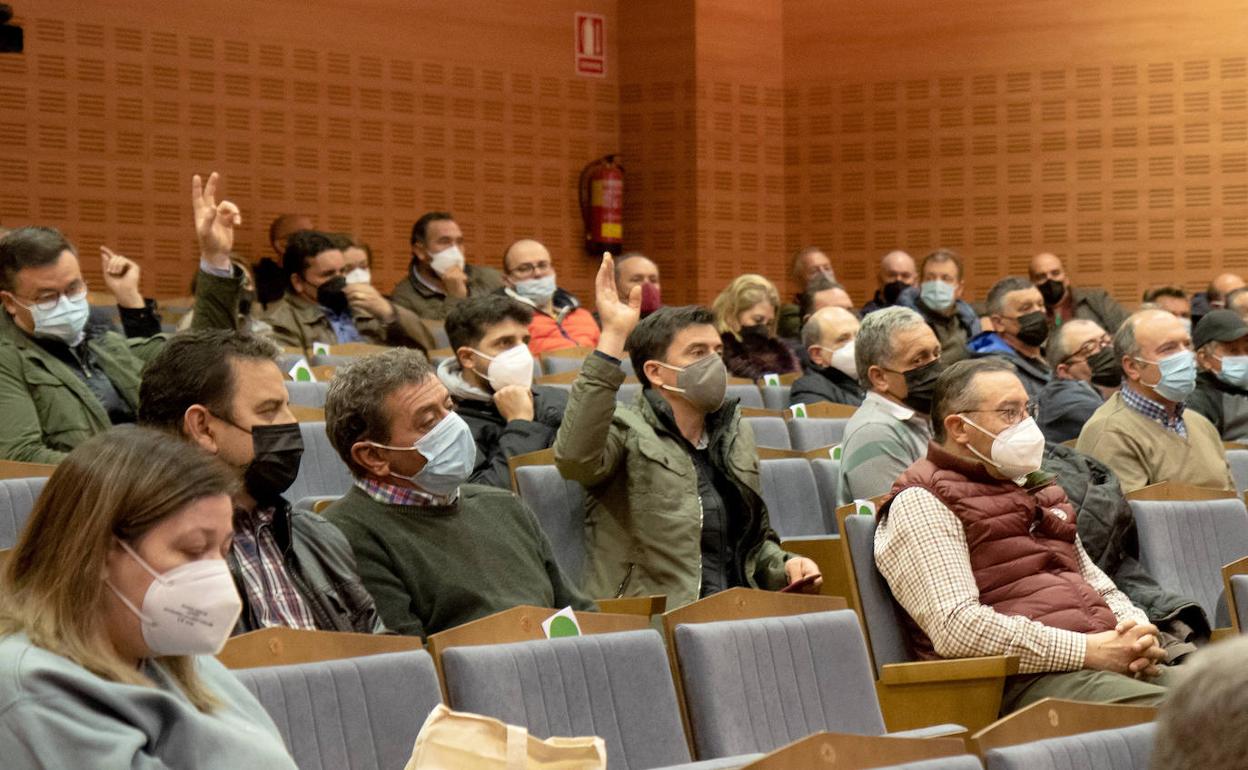 Agroteo propone en su Junta General el pago por remolacha entera y el asesoramiento en plagas