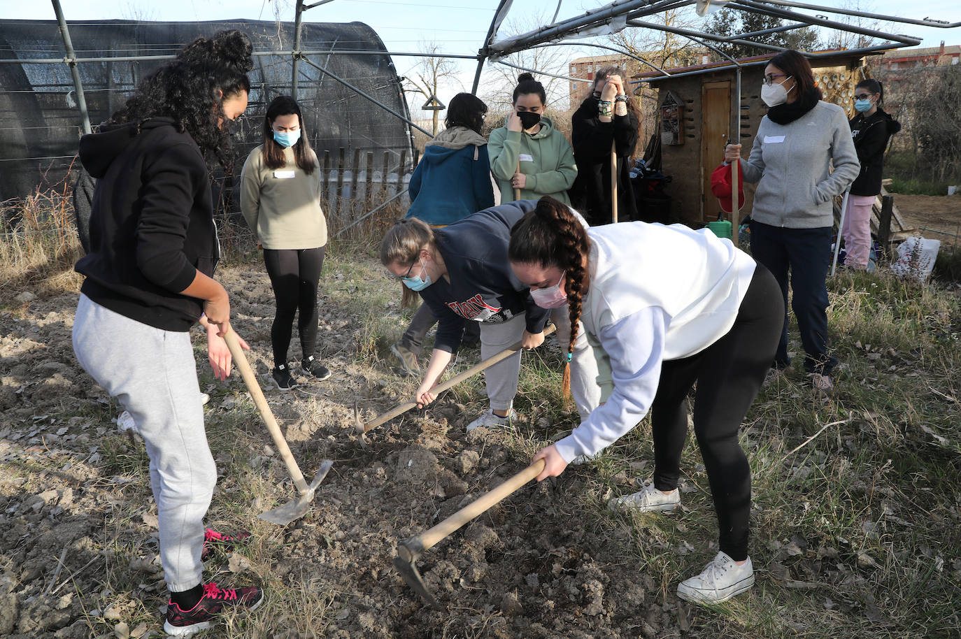 Fotos: El huerto como herramienta educativa en La Yutera