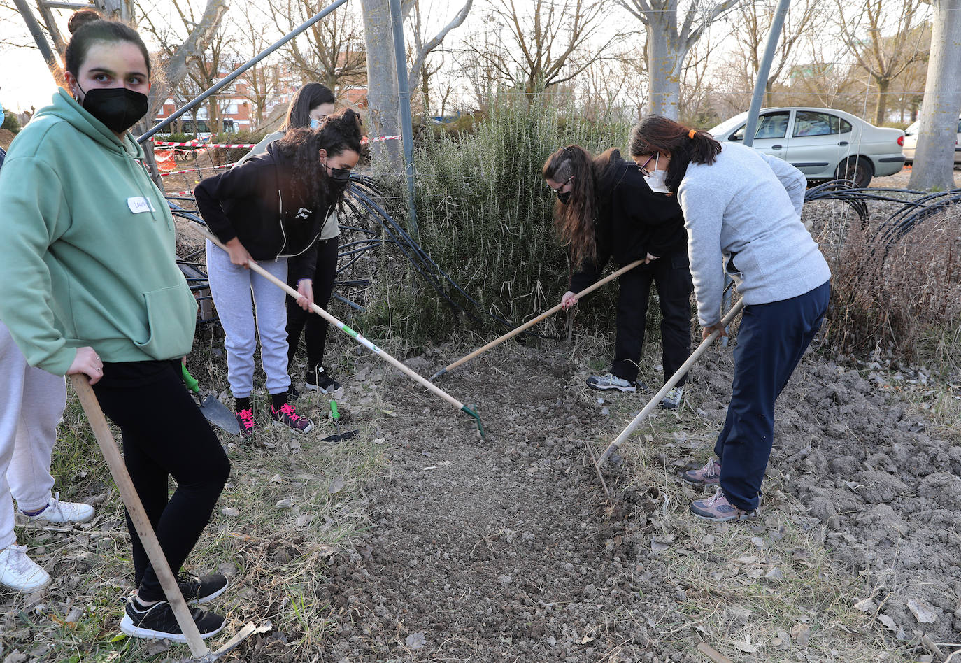 Fotos: El huerto como herramienta educativa en La Yutera