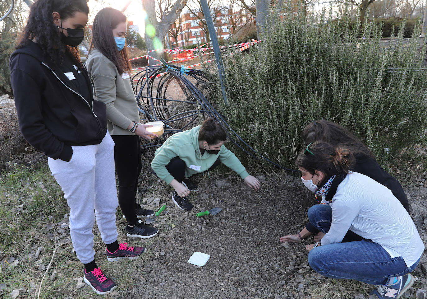 Fotos: El huerto como herramienta educativa en La Yutera