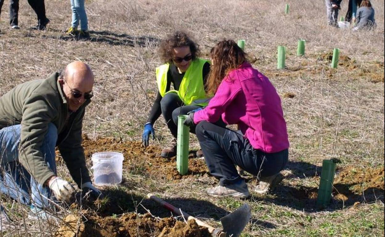 Jornada de reforestación celebrada en Villacid de Campos el pasado domingo. 