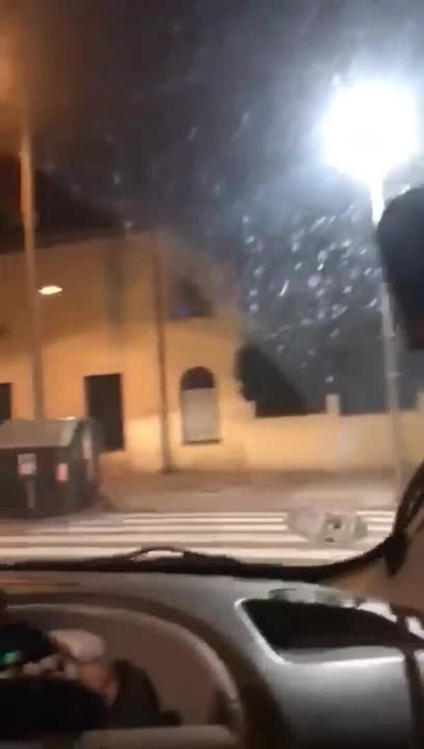 El vídeo viral de dos jabalíes paseando por las calles de Segovia