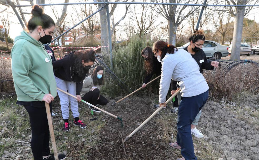 Alumnas participantes en el proyecto preparan la tierra. 