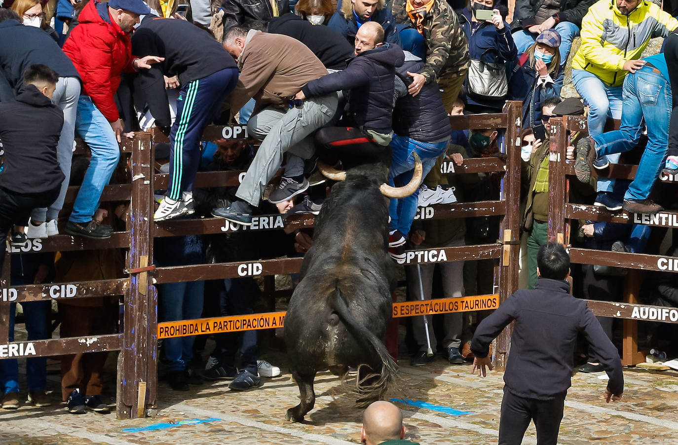 Fotos: Carnaval del Toro en Ciudad Rodrigo