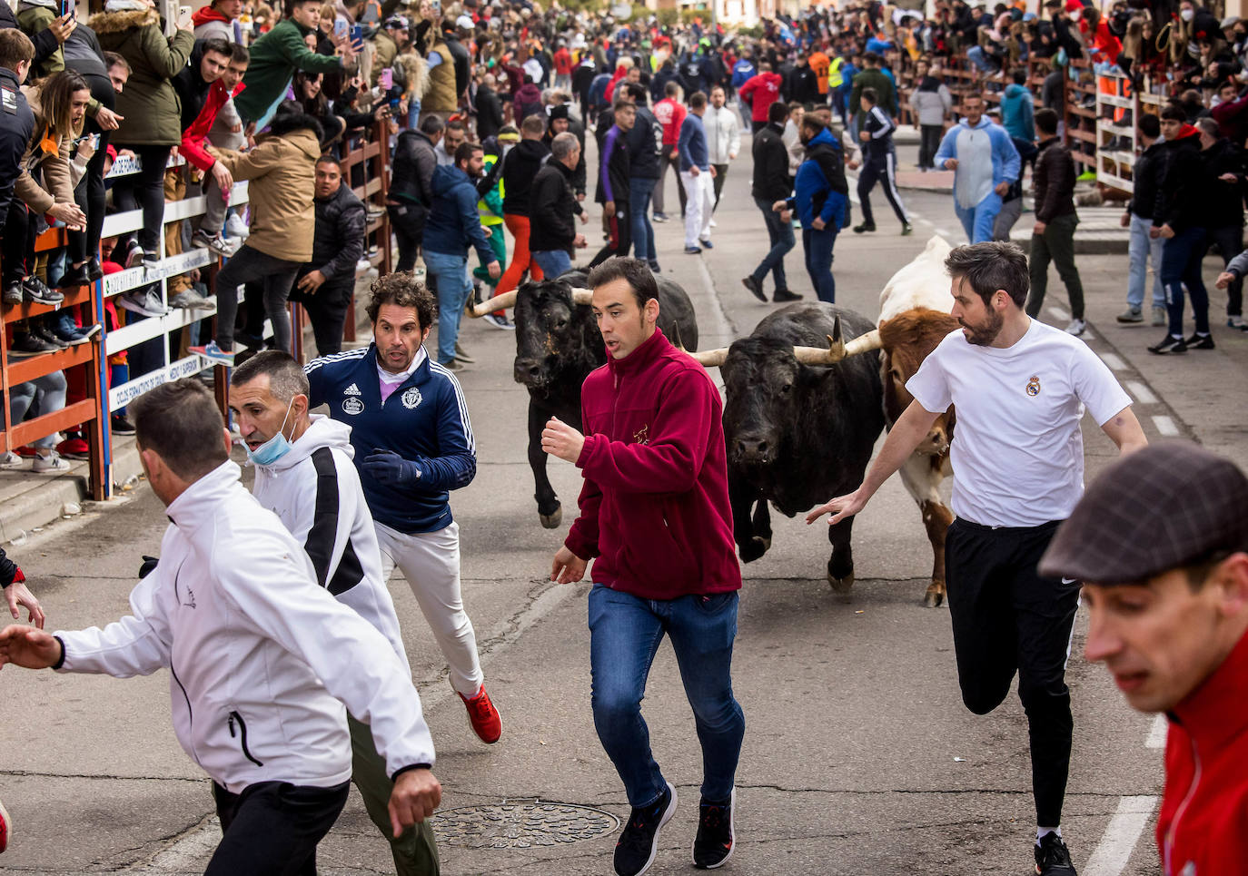 Fotos: Carnaval del Toro en Ciudad Rodrigo