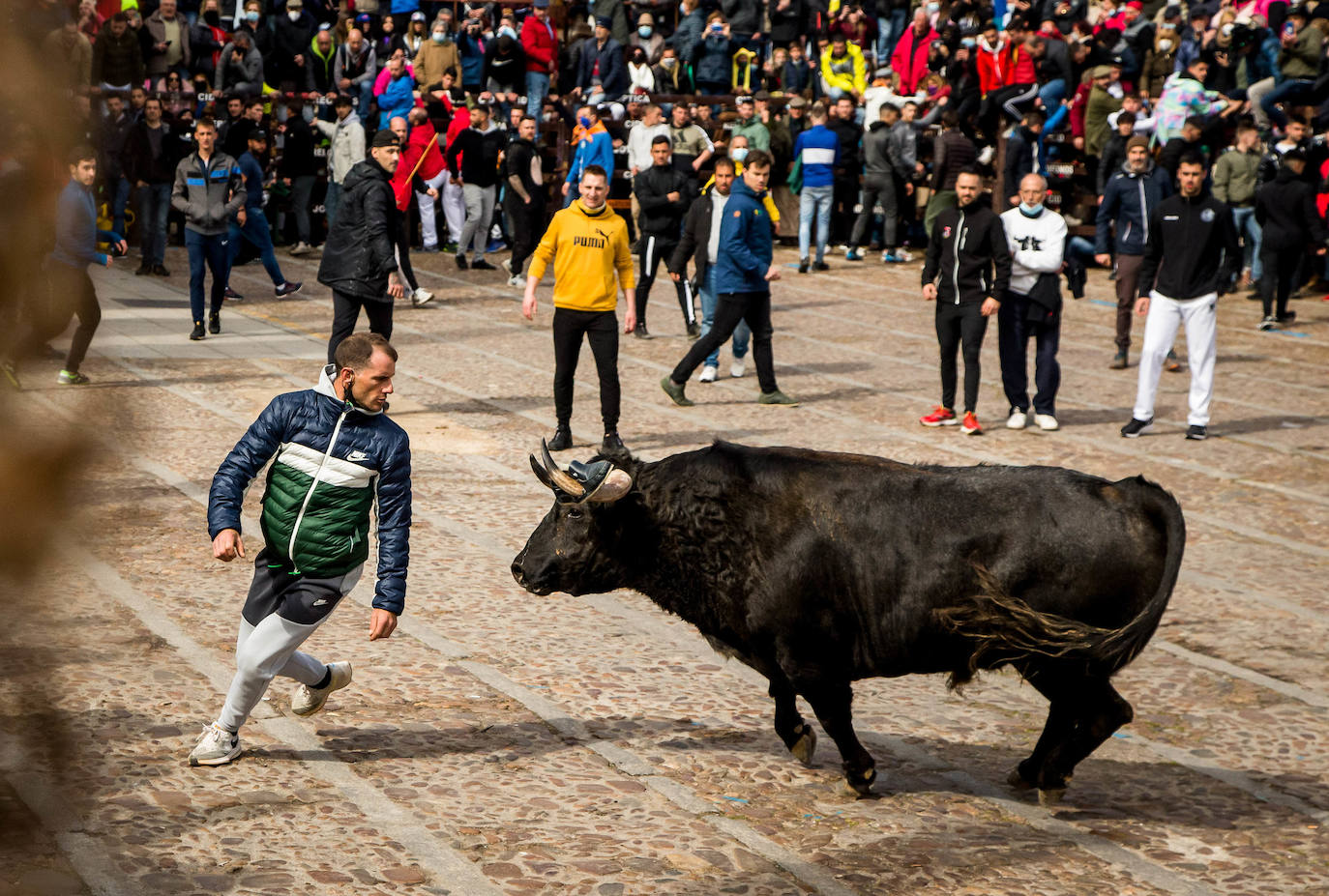 Fotos: Carnaval del Toro en Ciudad Rodrigo