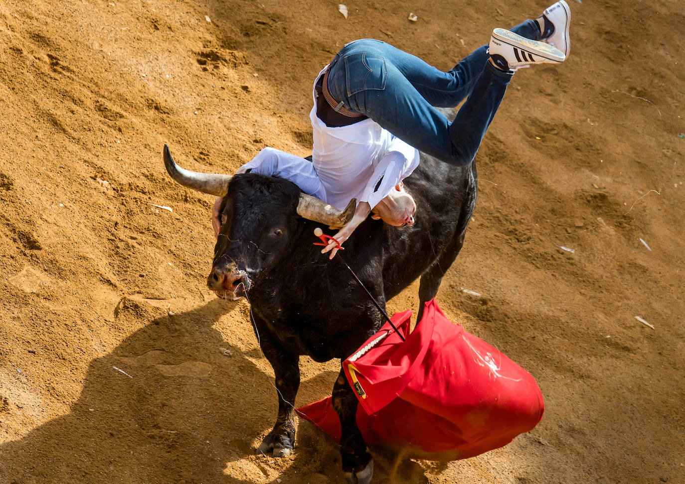 Fotos: Domingo grande en el Carnaval del Toro de Ciudad Rodrigo