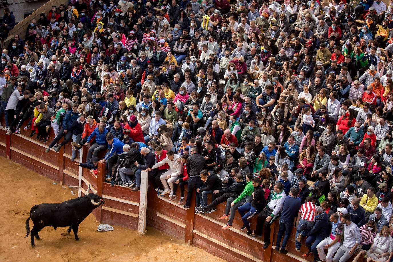 Fotos: Domingo grande en el Carnaval del Toro de Ciudad Rodrigo