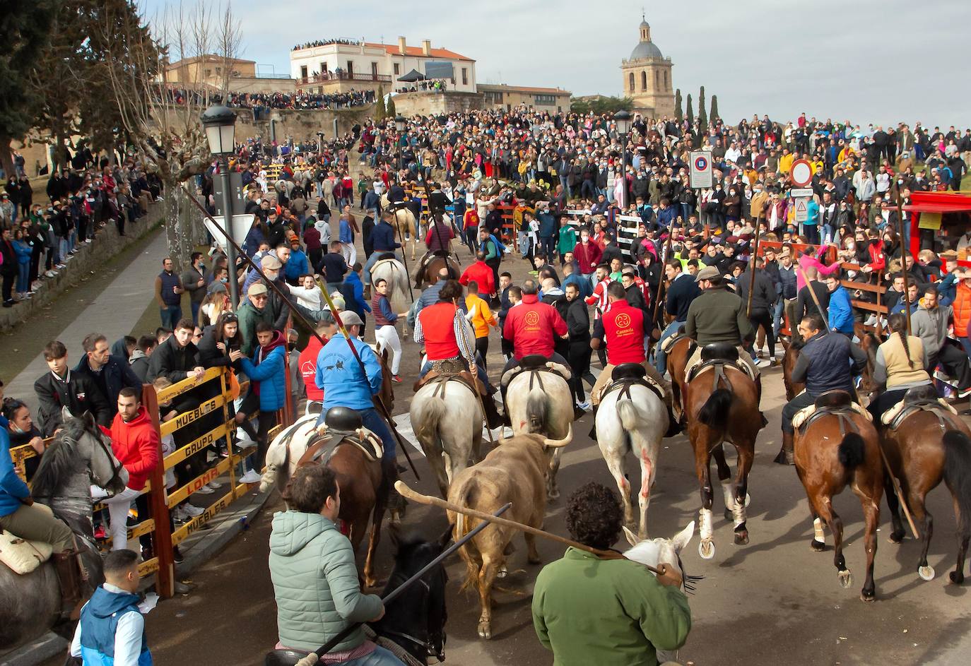 Fotos: Domingo grande en el Carnaval del Toro de Ciudad Rodrigo