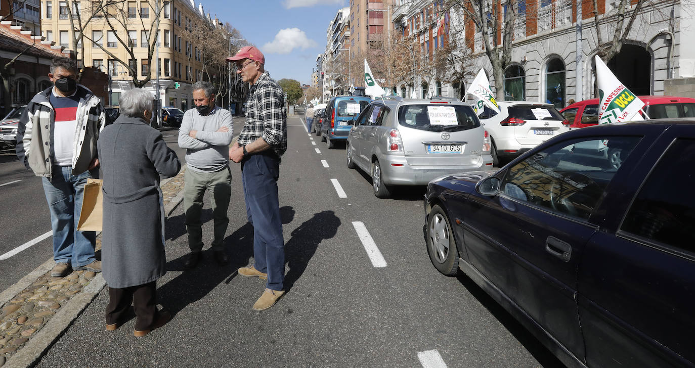 Fotos: Tractorada en Palencia contra los elevados costes de producción