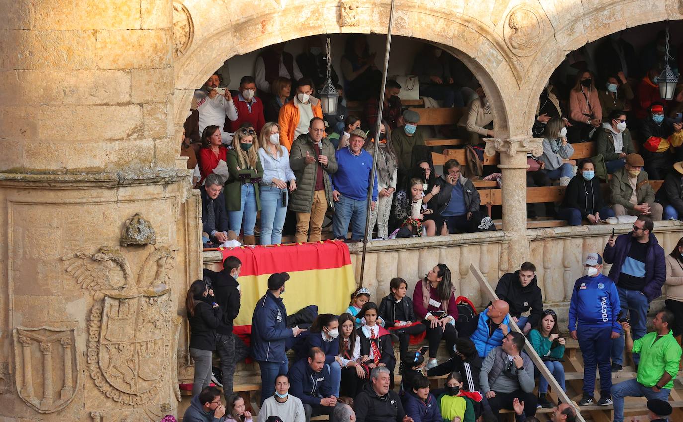 Ciudad Rodrigo disfruta del Carnaval del Toro.