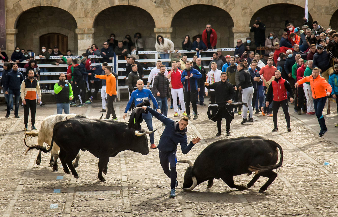 Fotos: Encierro del Martes de Carnaval en Ciudad Rodrigo