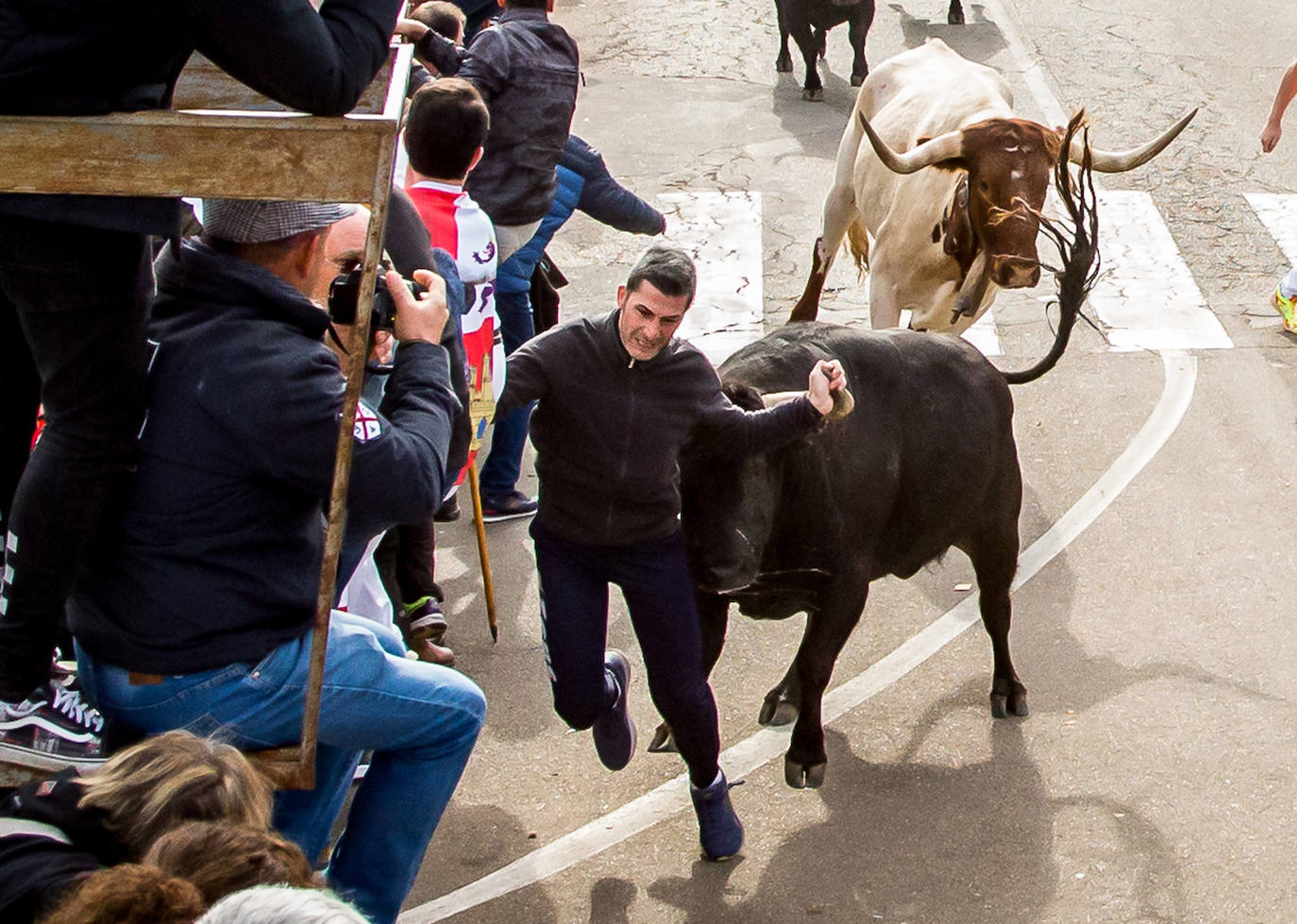 Fotos: Encierro del Martes de Carnaval en Ciudad Rodrigo