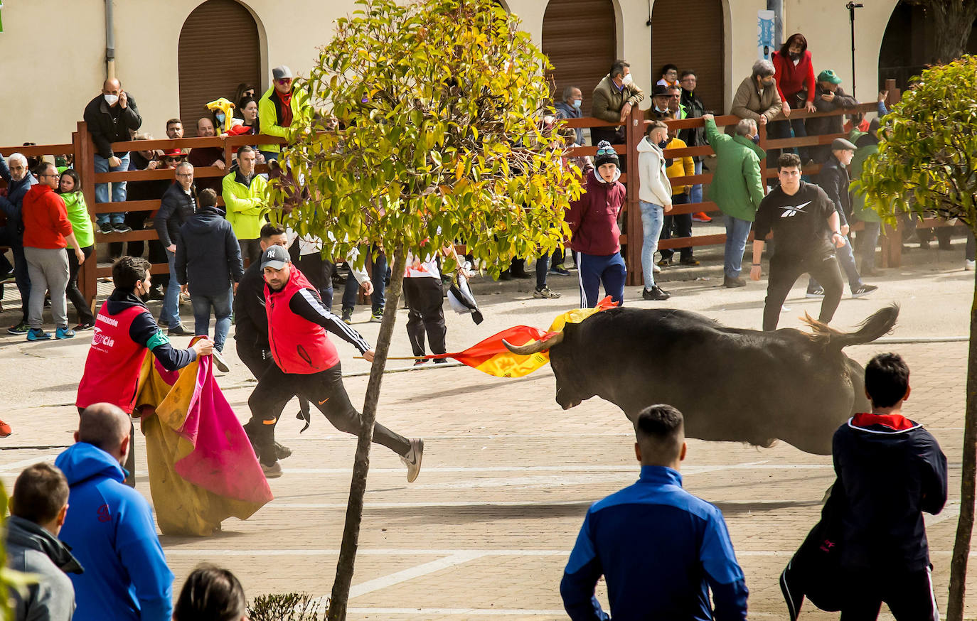 Fotos: Encierro del Martes de Carnaval en Ciudad Rodrigo