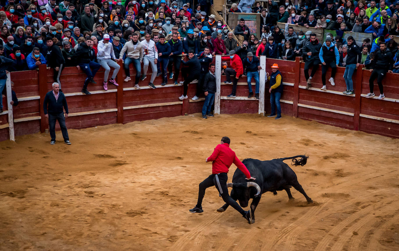 Fotos: Herido muy grave un vallisoletano de 24 años en la capea de Ciudad Rodrigo