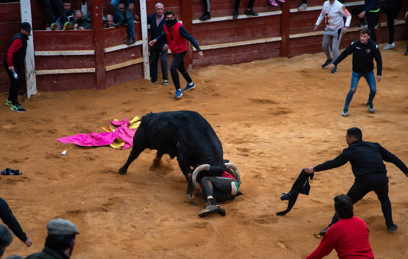 Fotos: Herido muy grave un vallisoletano de 24 años en la capea de Ciudad Rodrigo