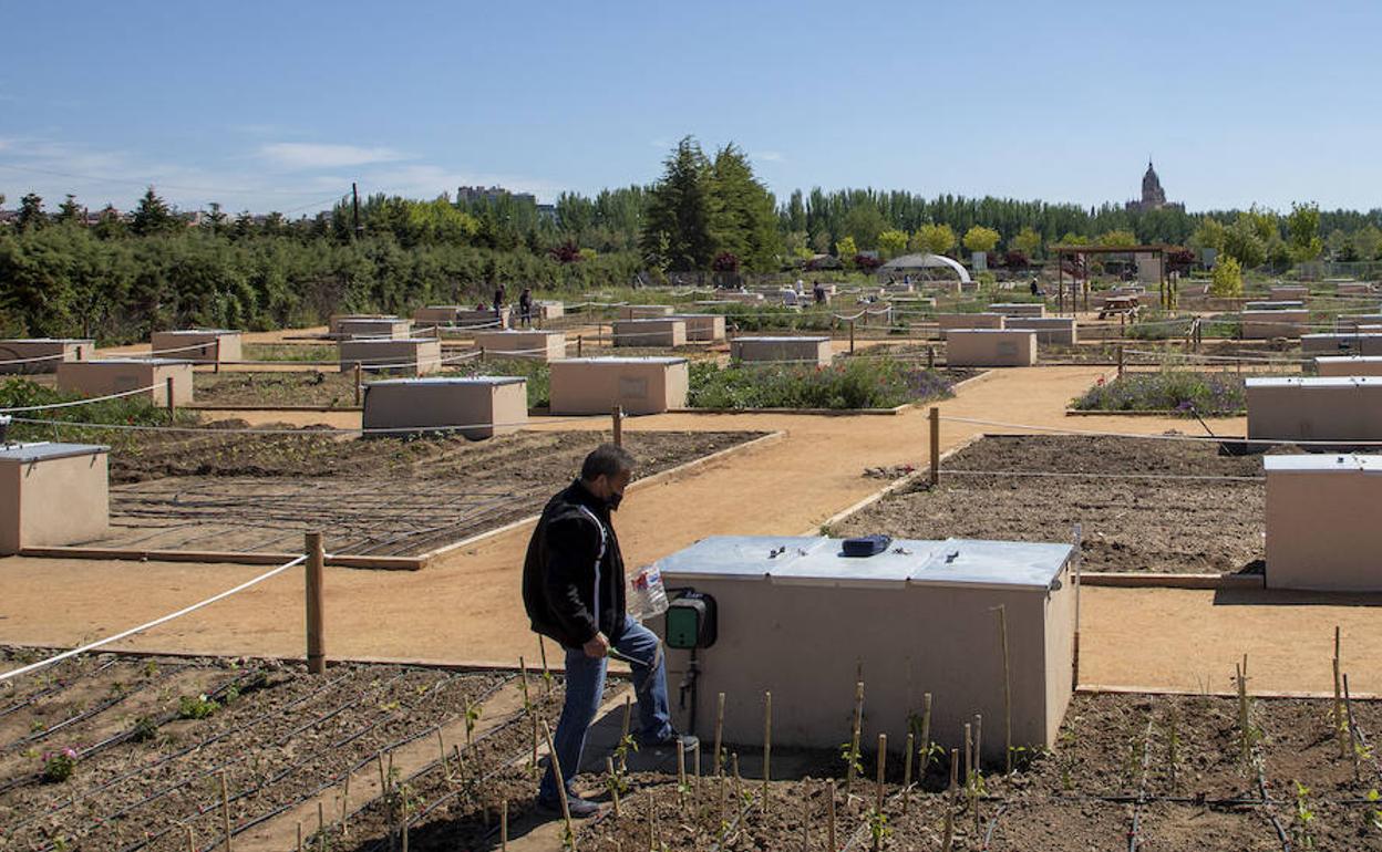 Salamanca integra los huertos urbanos en los corredores verdes junto al Tormes. 