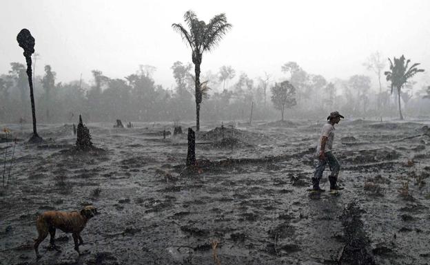 Un campesino brasileño con su perro, en una zona del Amazonas arrasada por un incendio en 2019. 