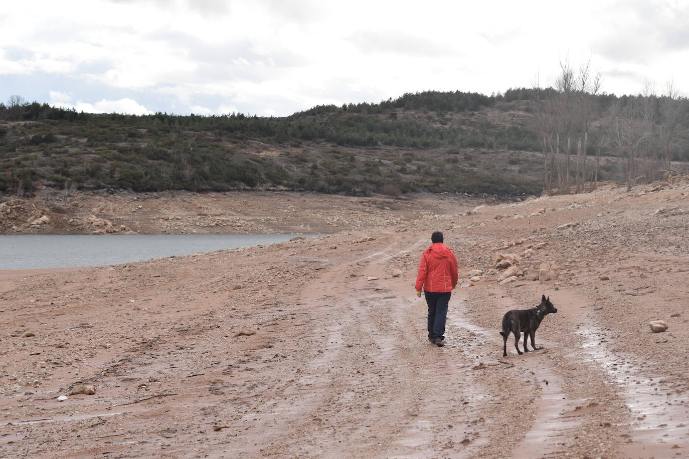 Fotos: Los embalses de Palencia se asoman a la alerta por sequía
