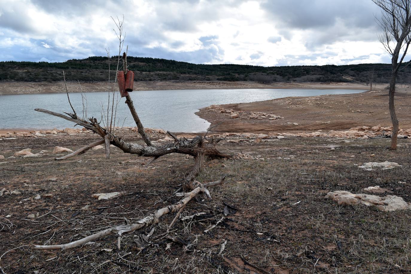 Fotos: Los embalses de Palencia se asoman a la alerta por sequía
