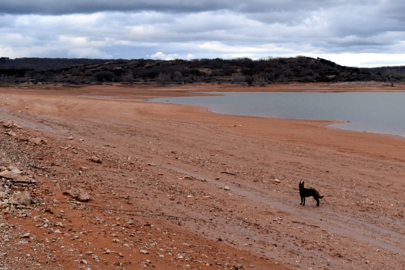 Fotos: Los embalses de Palencia se asoman a la alerta por sequía