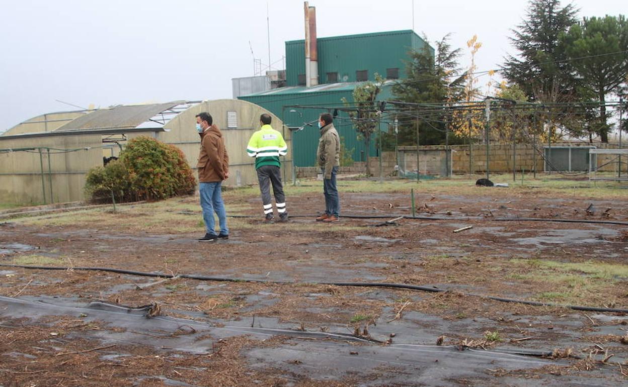 Inspección de los terrenos en el antiguo vivero municipal de Cuéllar, en Segovia. 