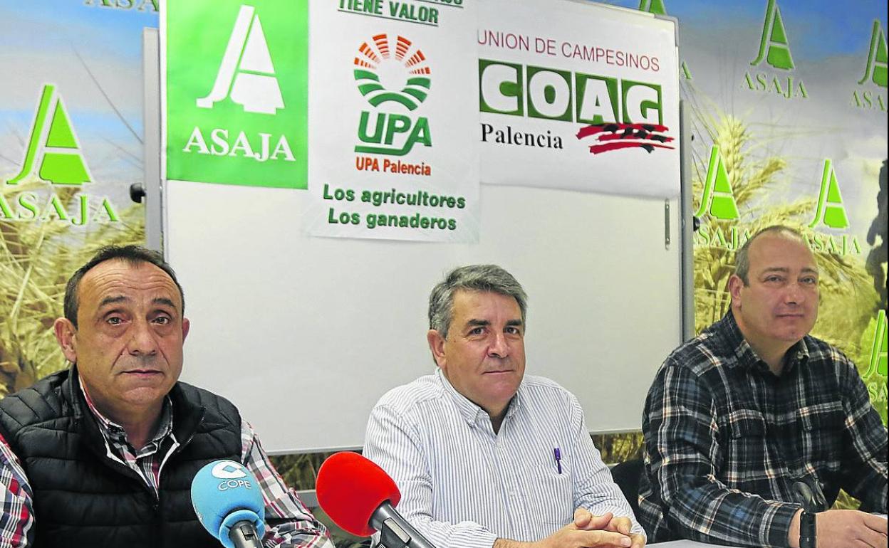 Honorato Meneses, Blas Donis y David Tejerina, este viernes en rueda de prensa.