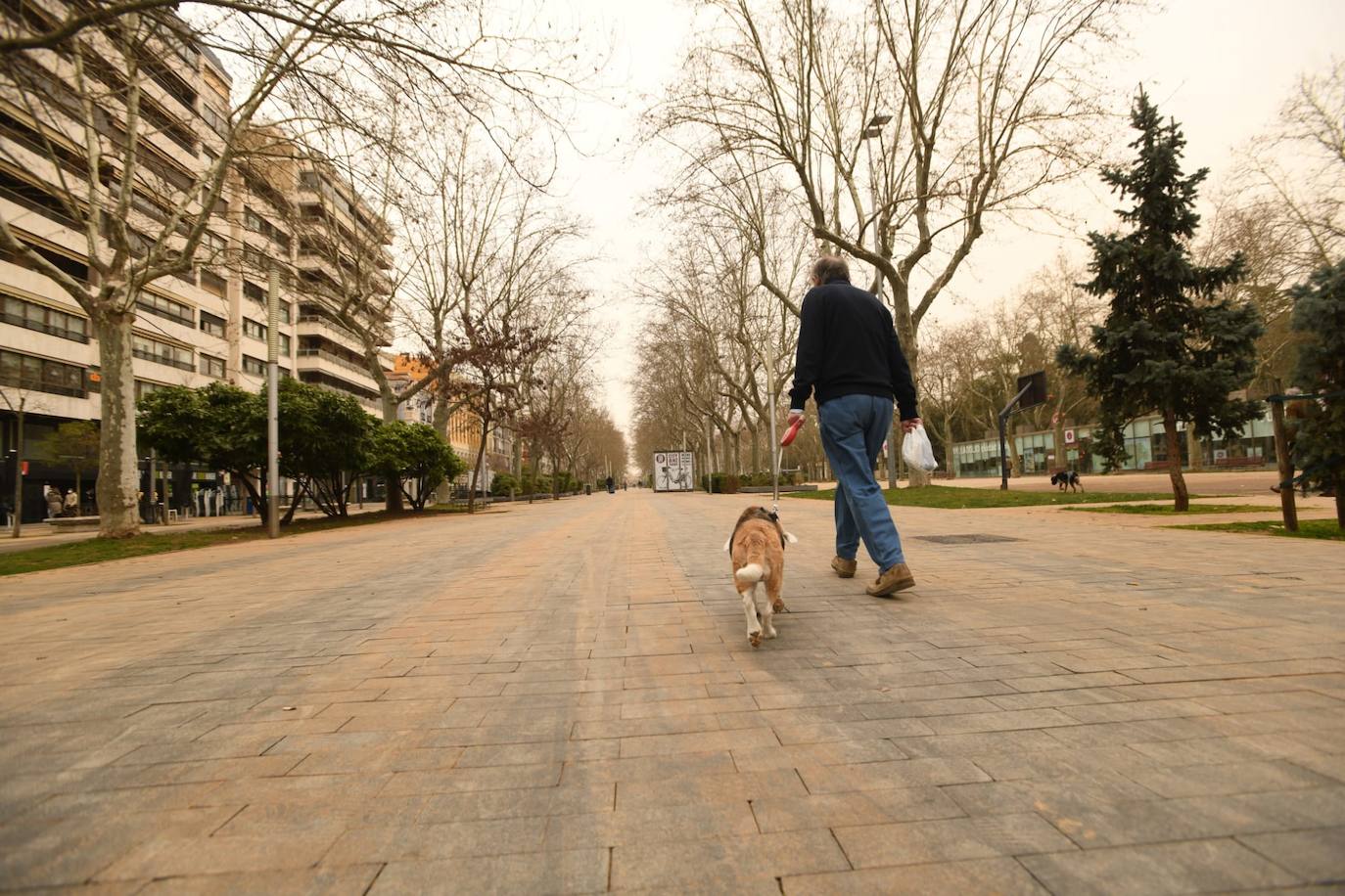 Fotos: La calima cubre Valladolid de un fino manto naranja (1/2)