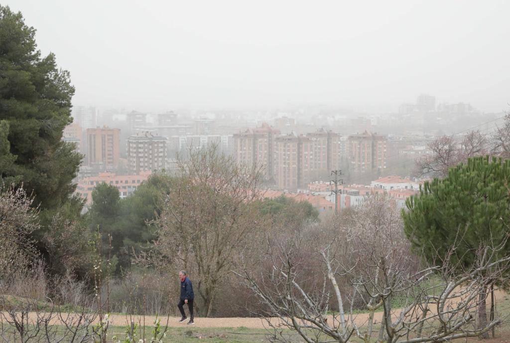 Fotos: La calima cubre Valladolid de un fino manto naranja (2/2)