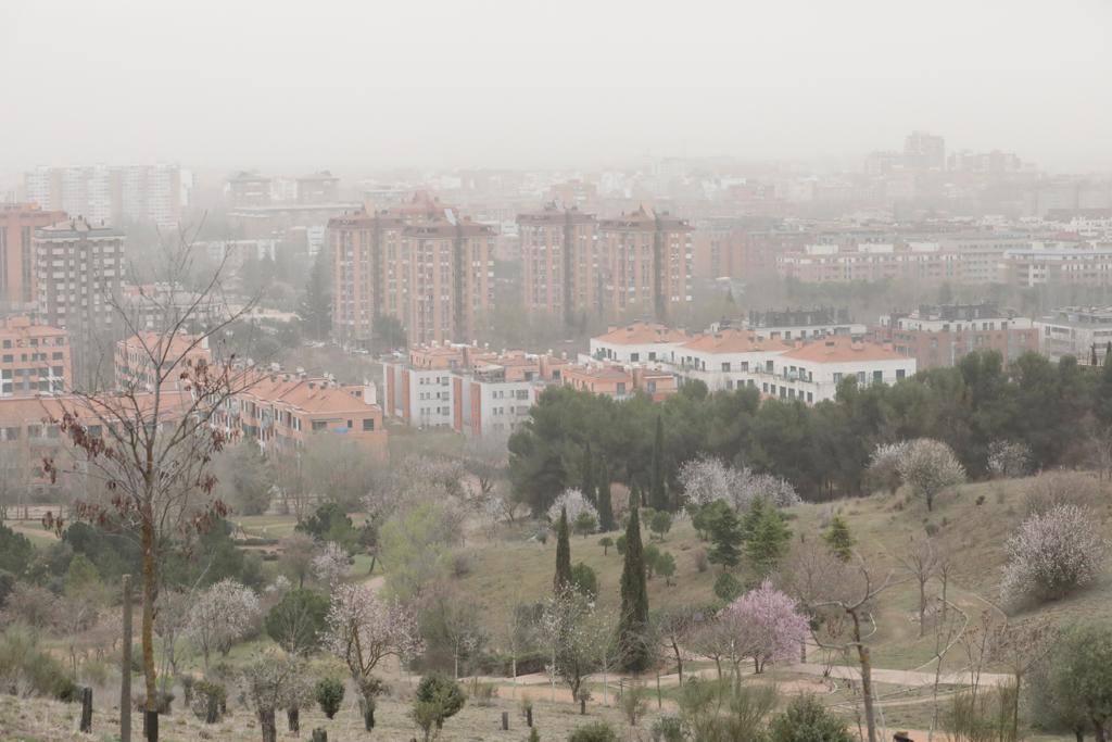 Fotos: La calima cubre Valladolid de un fino manto naranja (2/2)