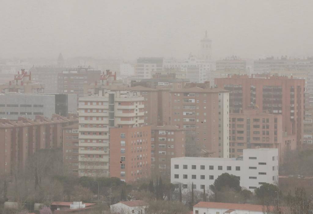 Fotos: La calima cubre Valladolid de un fino manto naranja (2/2)