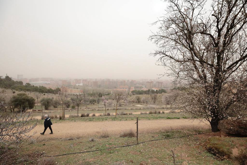 Fotos: La calima cubre Valladolid de un fino manto naranja (2/2)