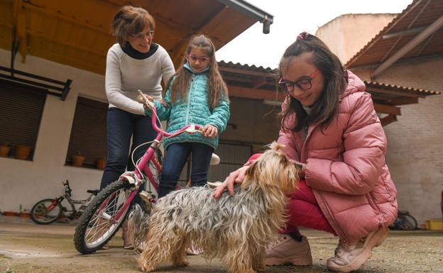 Dos niñas ucranianas encuentran la paz en Geria