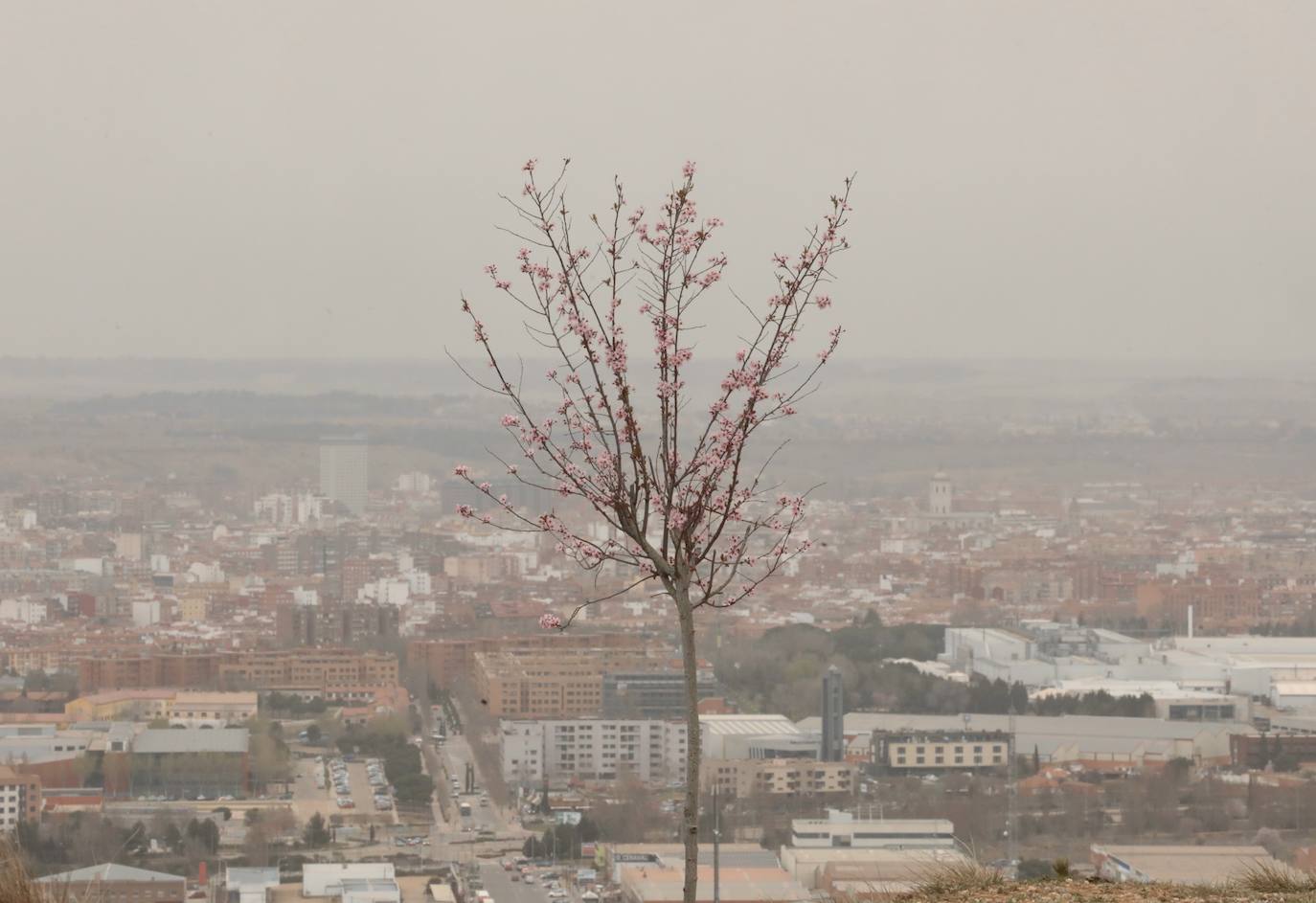 Fotos: Las estampas de la calima en Valladolid