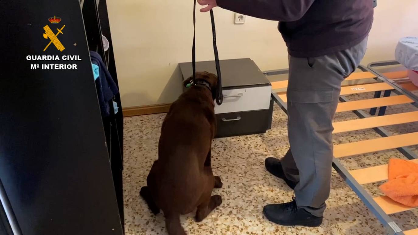 Agentes de la Guardia Civil con uno de los detenidos.