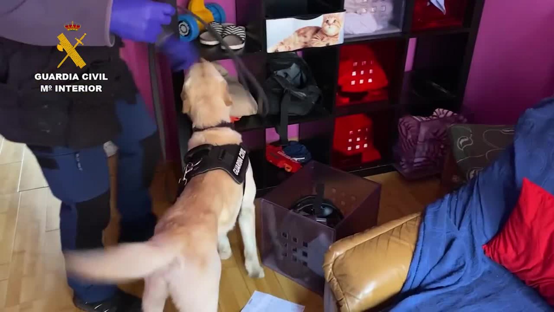 Detenidas 17 personas dedicadas al menudeo de droga en Salamanca, Zamora y Toledo