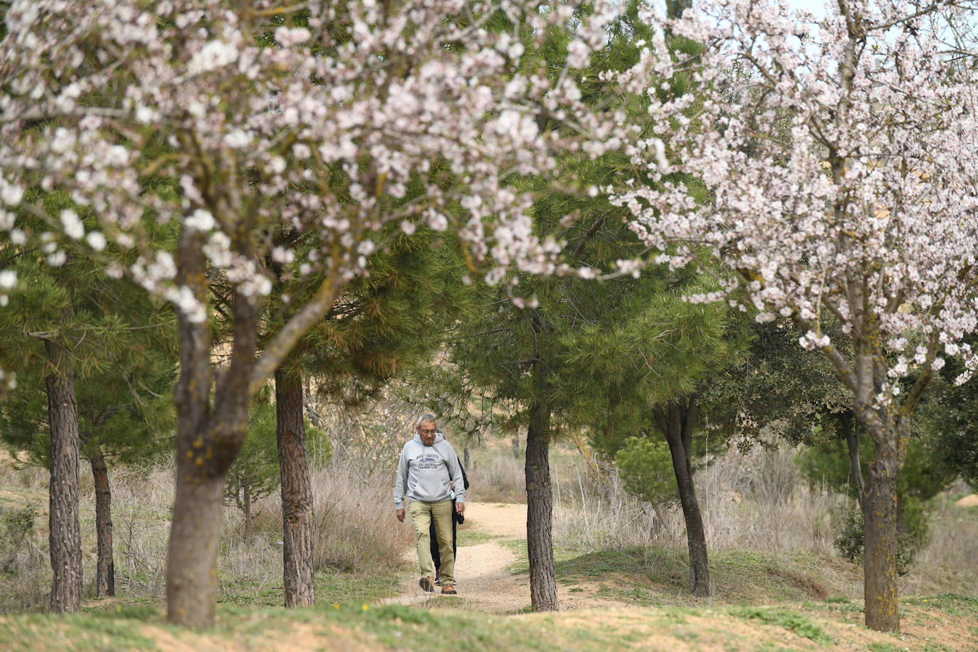 Fotos: La primavera se estrena en Valladolid con sol y temperaturas agradables