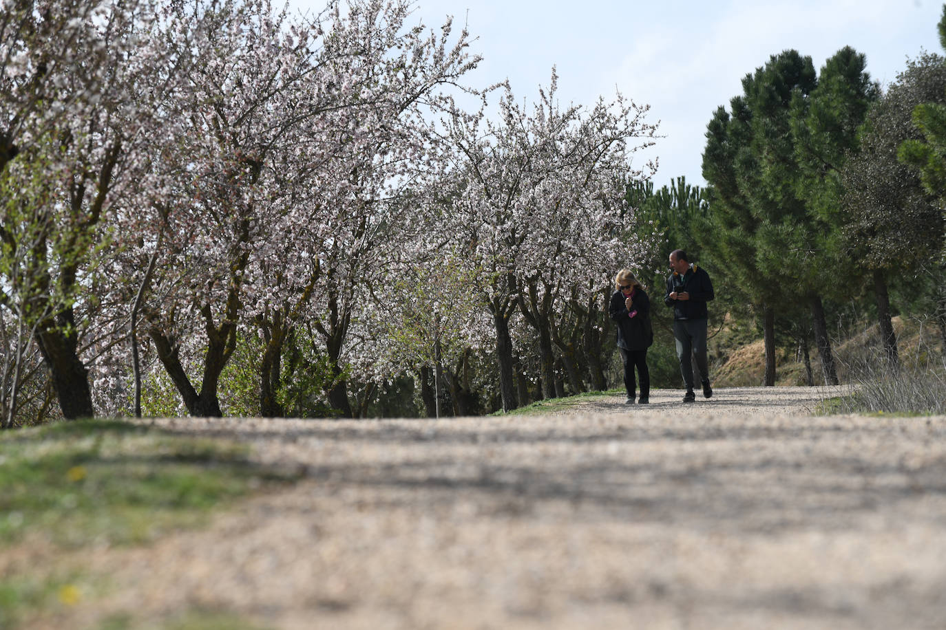 Fotos: La primavera se estrena en Valladolid con sol y temperaturas agradables