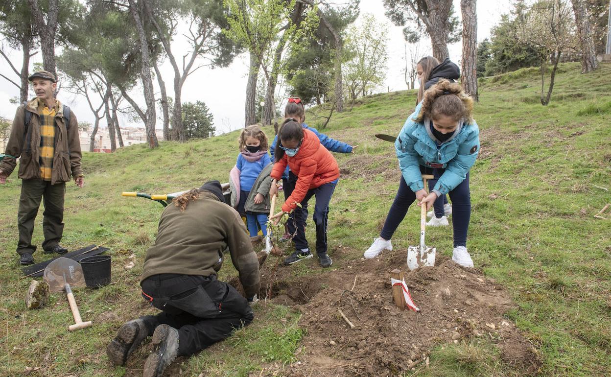 Alumnos del Colegio Marista, durante la plantación de uno de los árboles. 