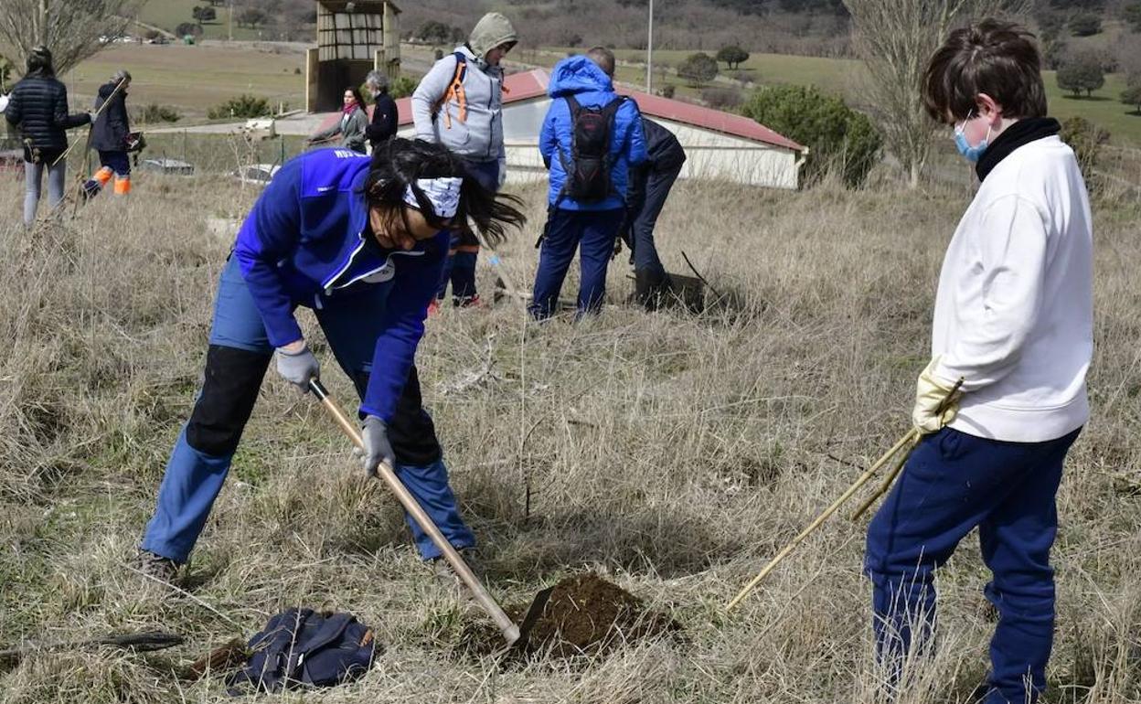 Voluntarios en la plantación llevada a cabo por Colectivo Azálvaro en El Espinar por el Día del Árbol. 