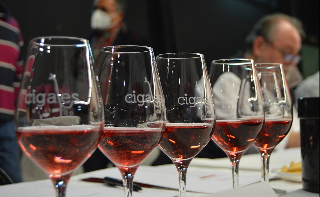 Cigales vuelve a reinar como la DO más premiada de España, esta vez en el Mundial del Rosado de Cannes