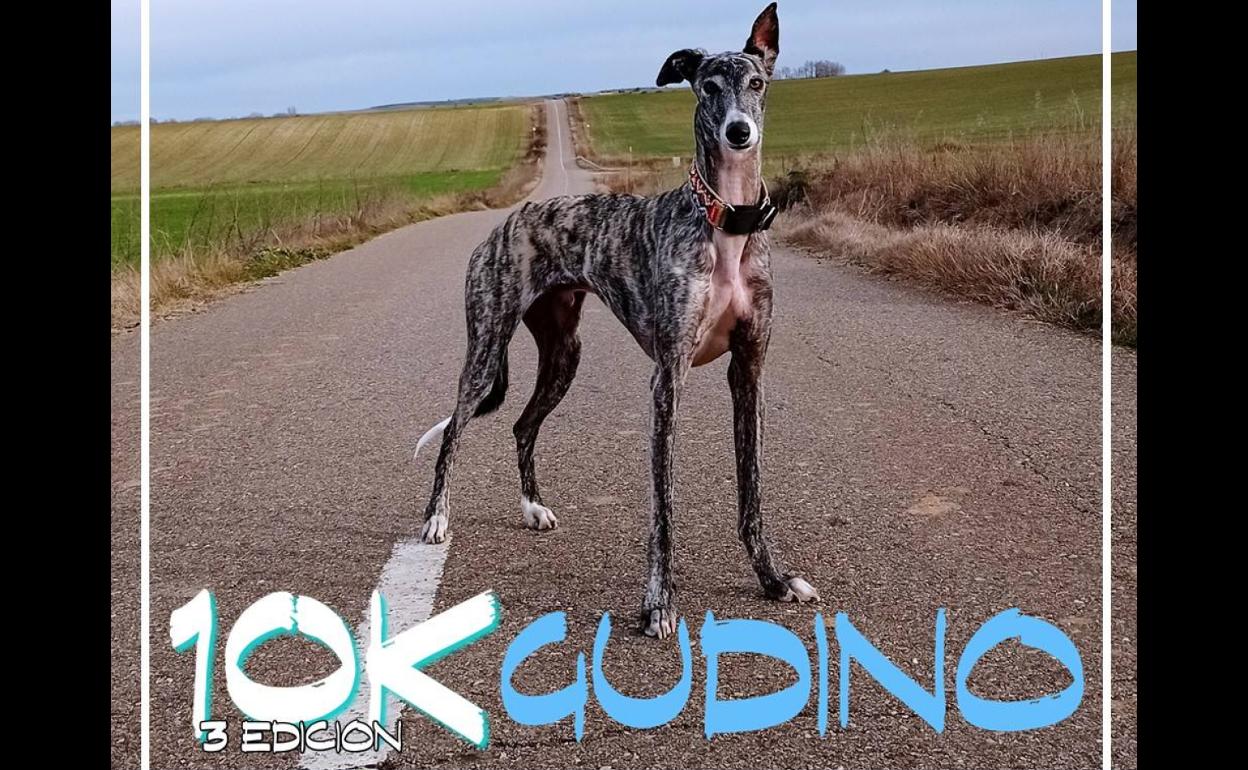 La tercera edición de los rápidos 10km de Gudino llegará el domingo 8 de mayo