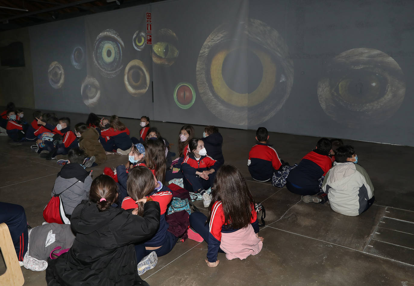 Más de 500 escolares celebran el Día Mundial del Agua con una visita al museo de la Dársena
